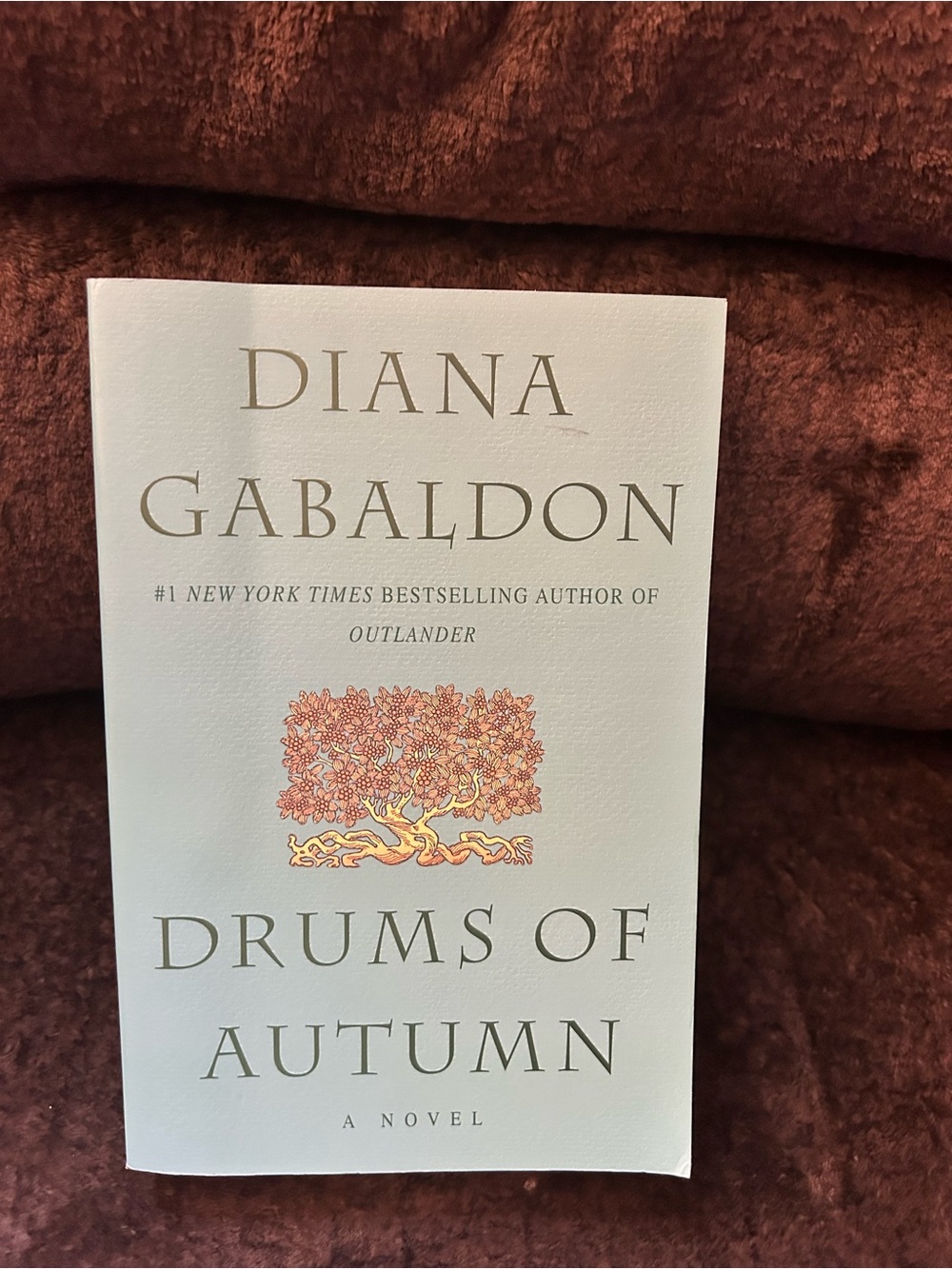"Drums of Autumn" - Diana Gabaldon